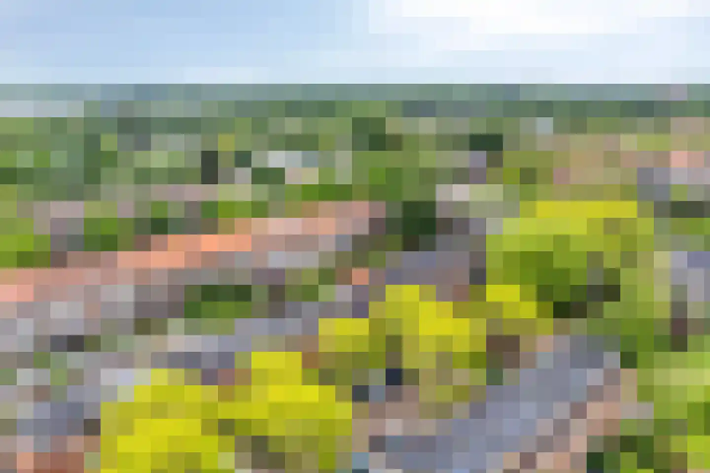 De Meij van Streefkerkstraat 74 Leiden thumbnail 38