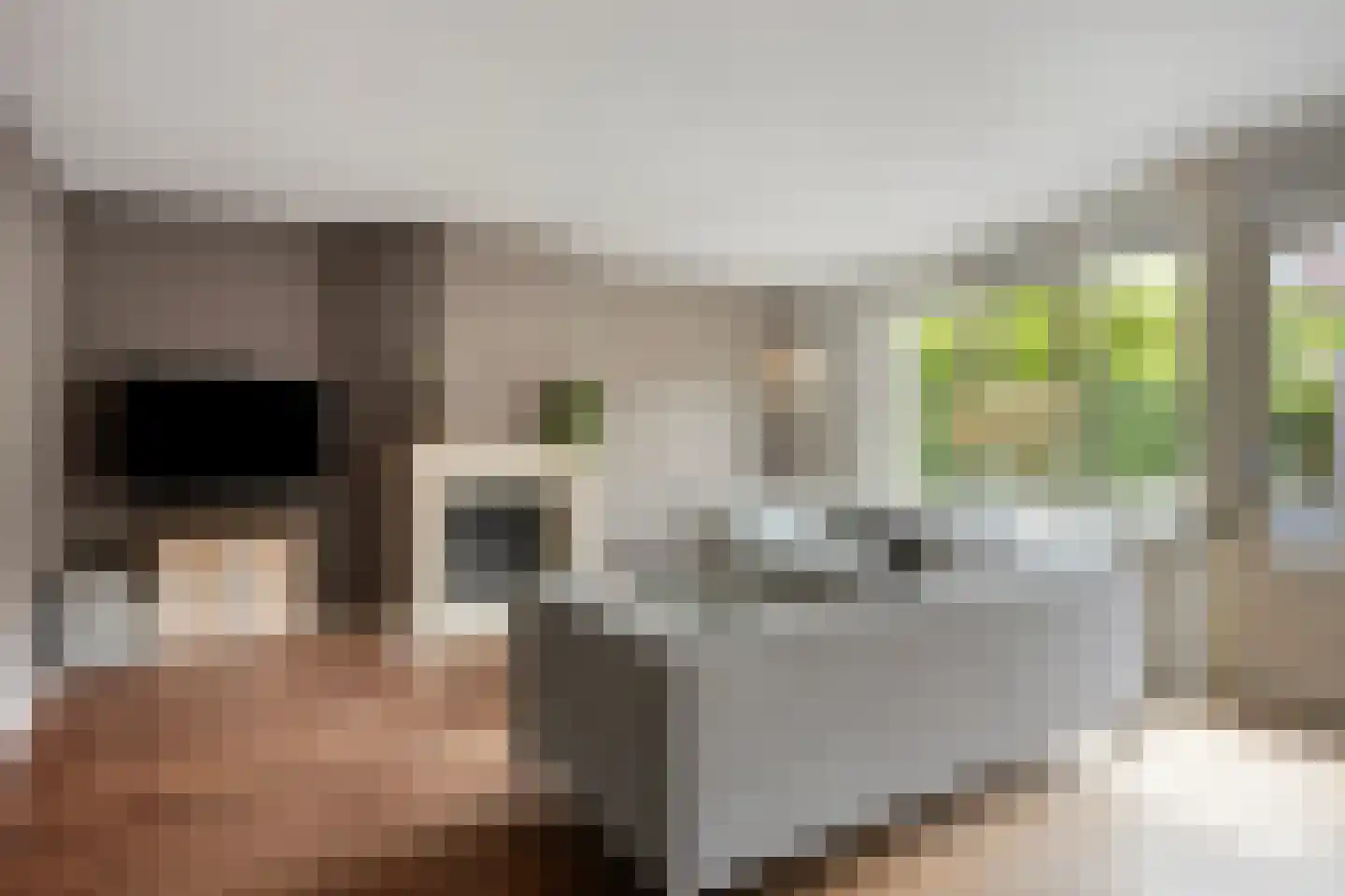 De Meij van Streefkerkstraat 74 Leiden thumbnail 4