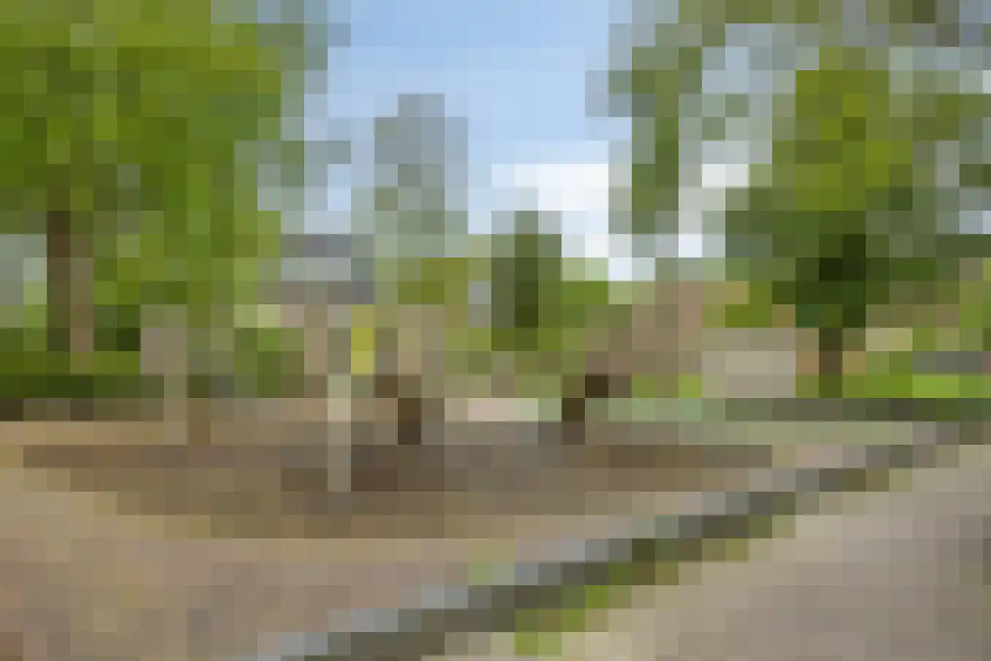 De Meij van Streefkerkstraat 74 Leiden thumbnail 41