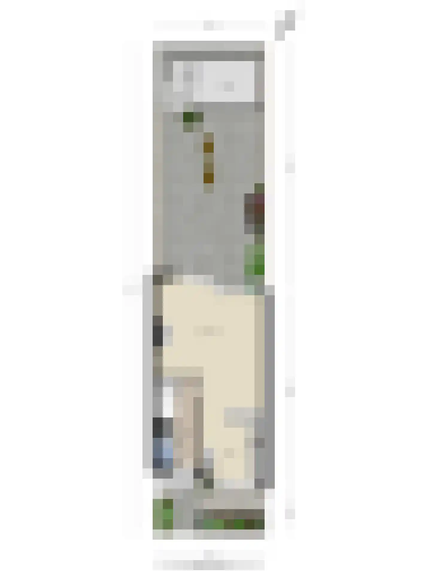 De Meij van Streefkerkstraat 74 Leiden thumbnail 42