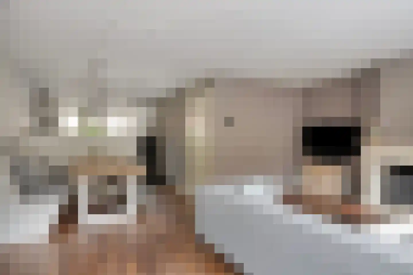 De Meij van Streefkerkstraat 74 Leiden thumbnail 5