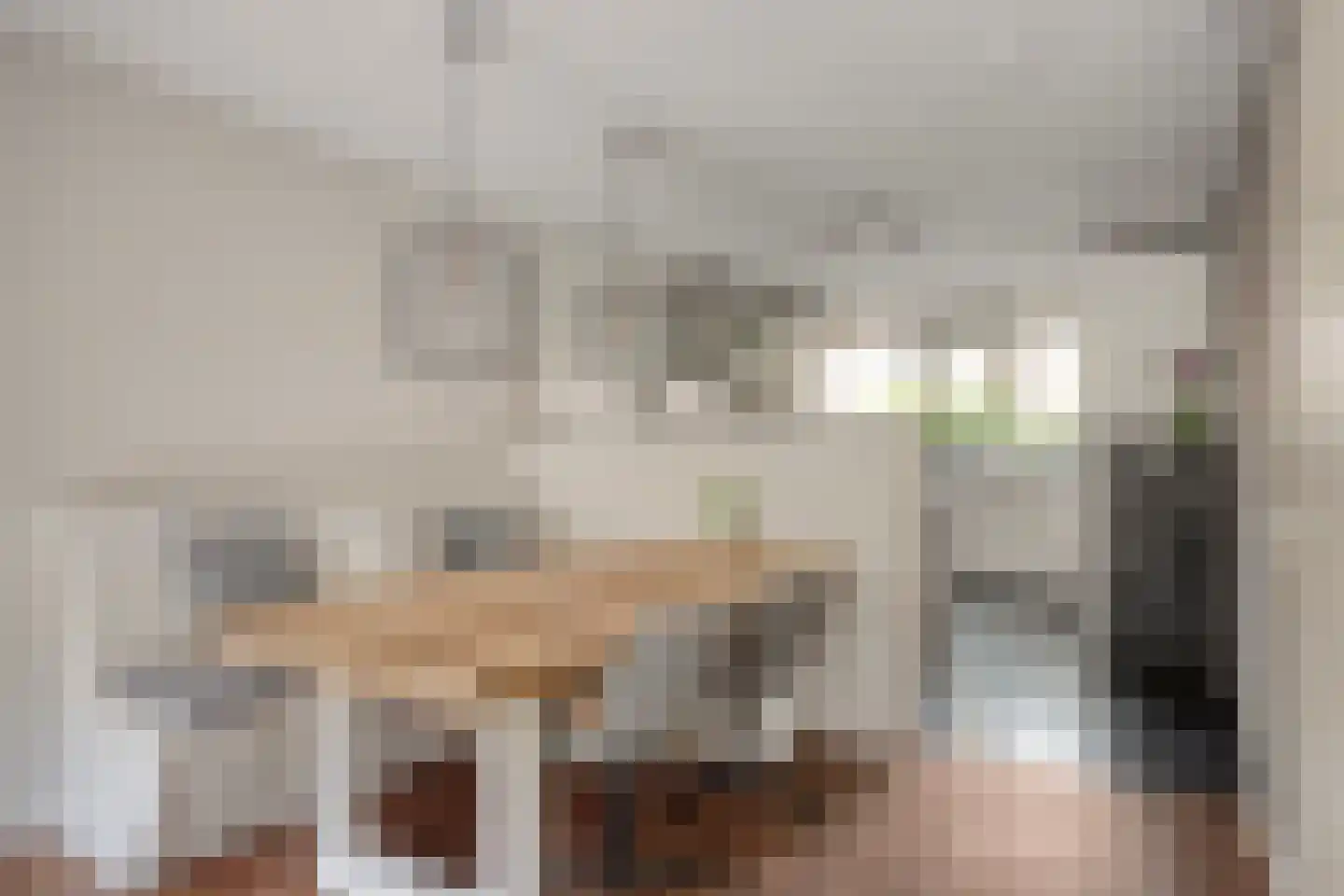 De Meij van Streefkerkstraat 74 Leiden thumbnail 6