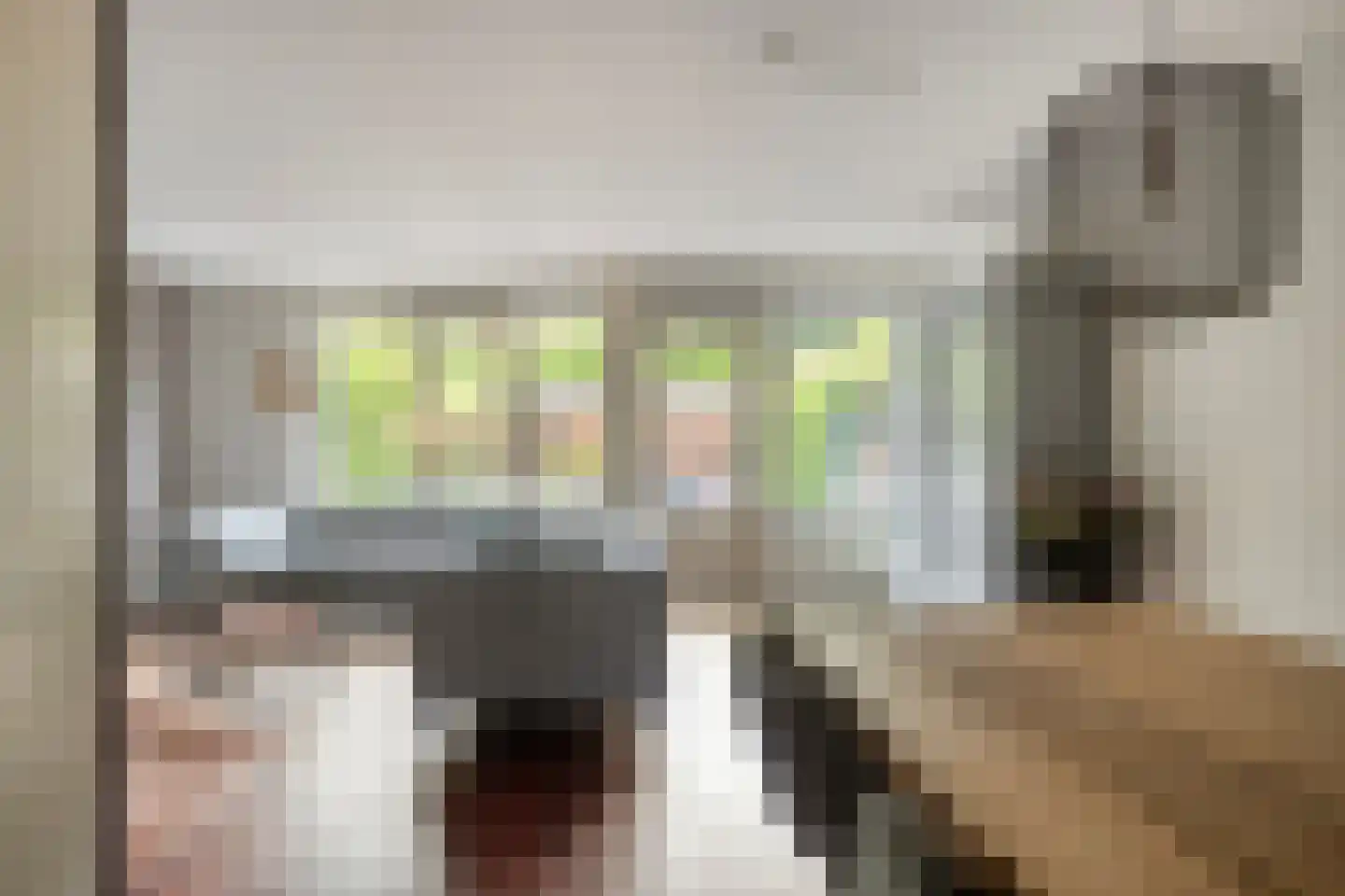 De Meij van Streefkerkstraat 74 Leiden thumbnail 7