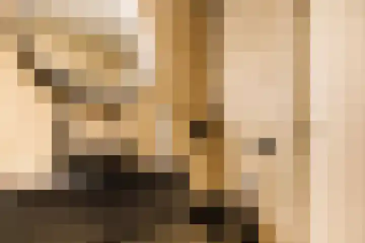De Meij van Streefkerkstraat 92 Leiden thumbnail 26