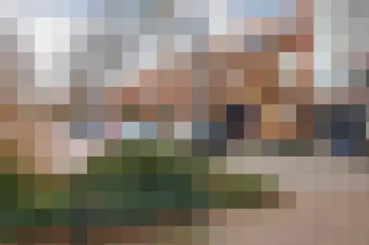 De Meij van Streefkerkstraat 92 Leiden thumbnail 36