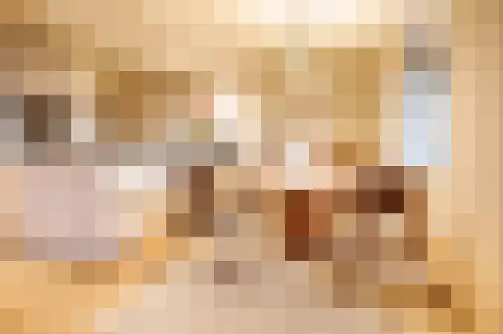 De Meij van Streefkerkstraat 92 Leiden thumbnail 5