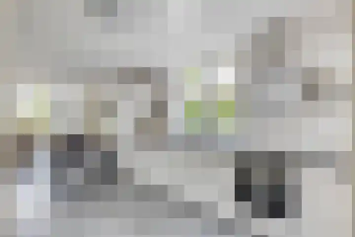 De Meijstraat 14 Serooskerke thumbnail 18