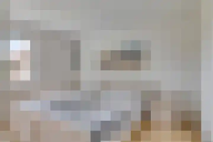 De Meijstraat 14 Serooskerke thumbnail 21