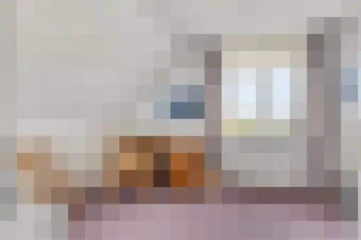 De Meijstraat 14 Serooskerke thumbnail 28