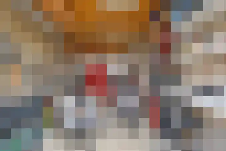 De Meijstraat 14 Serooskerke thumbnail 32