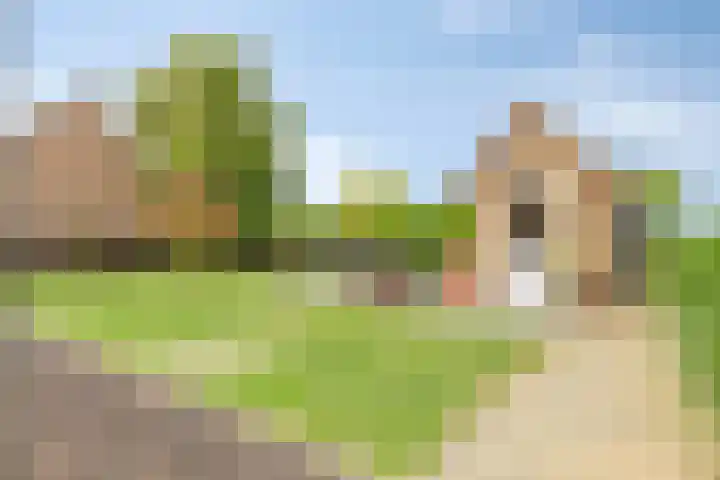 De Meijstraat 14 Serooskerke thumbnail 33