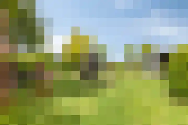 De Meijstraat 14 Serooskerke thumbnail 35