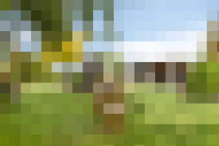 De Meijstraat 14 Serooskerke thumbnail 36