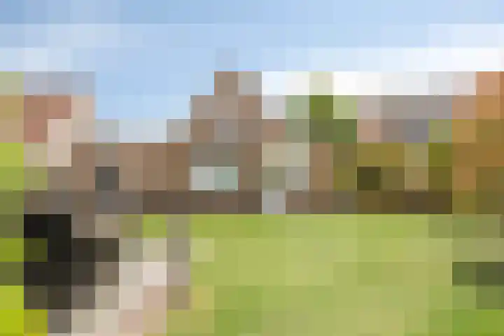 De Meijstraat 14 Serooskerke thumbnail 37