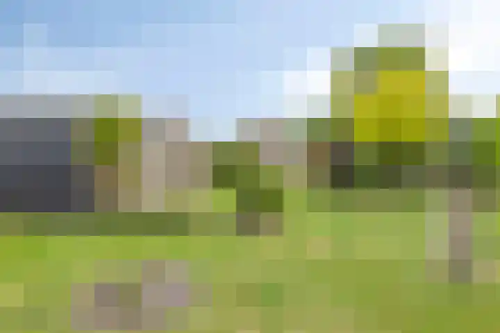 De Meijstraat 14 Serooskerke thumbnail 39