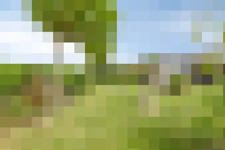 De Meijstraat 14 Serooskerke thumbnail 4