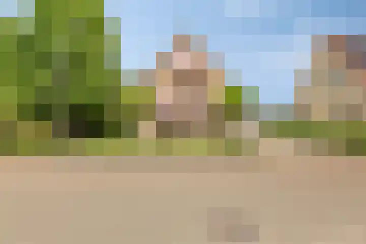 De Meijstraat 14 Serooskerke thumbnail 5