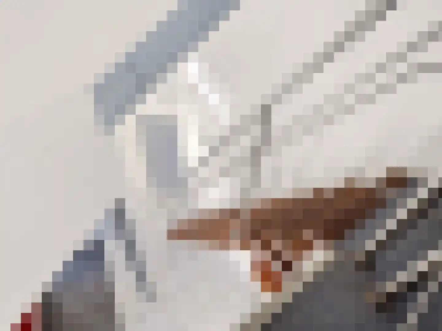 De Meikers 3 Driel thumbnail 27