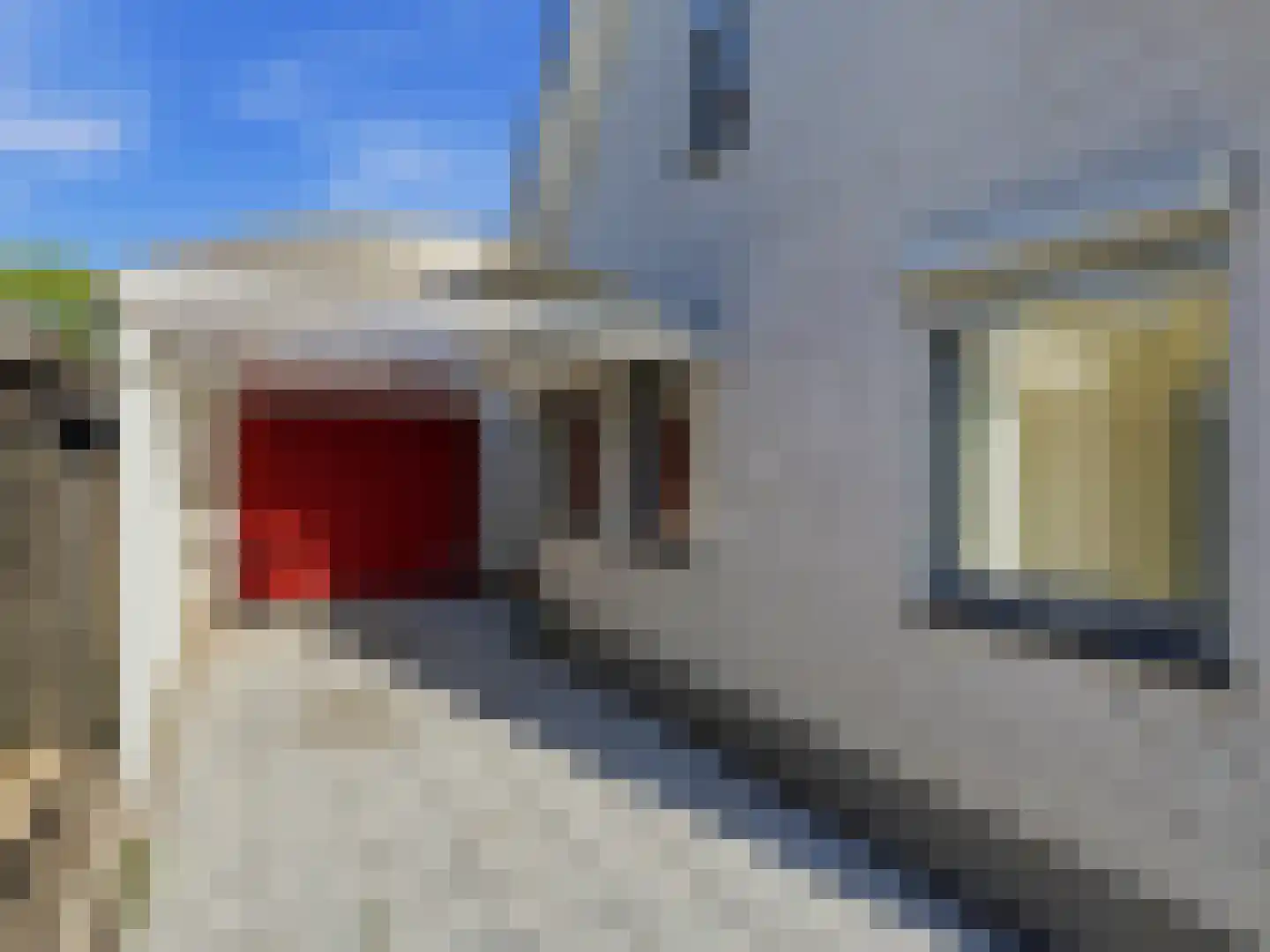 De Meikers 3 Driel thumbnail 6