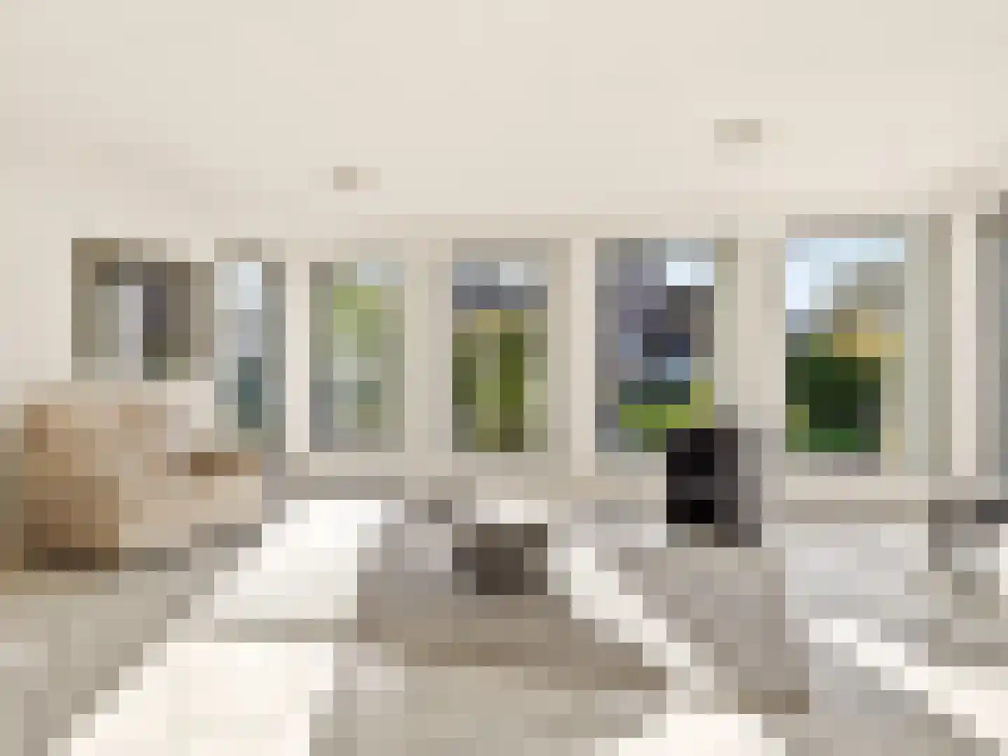 De Meikers 3 Driel thumbnail 9