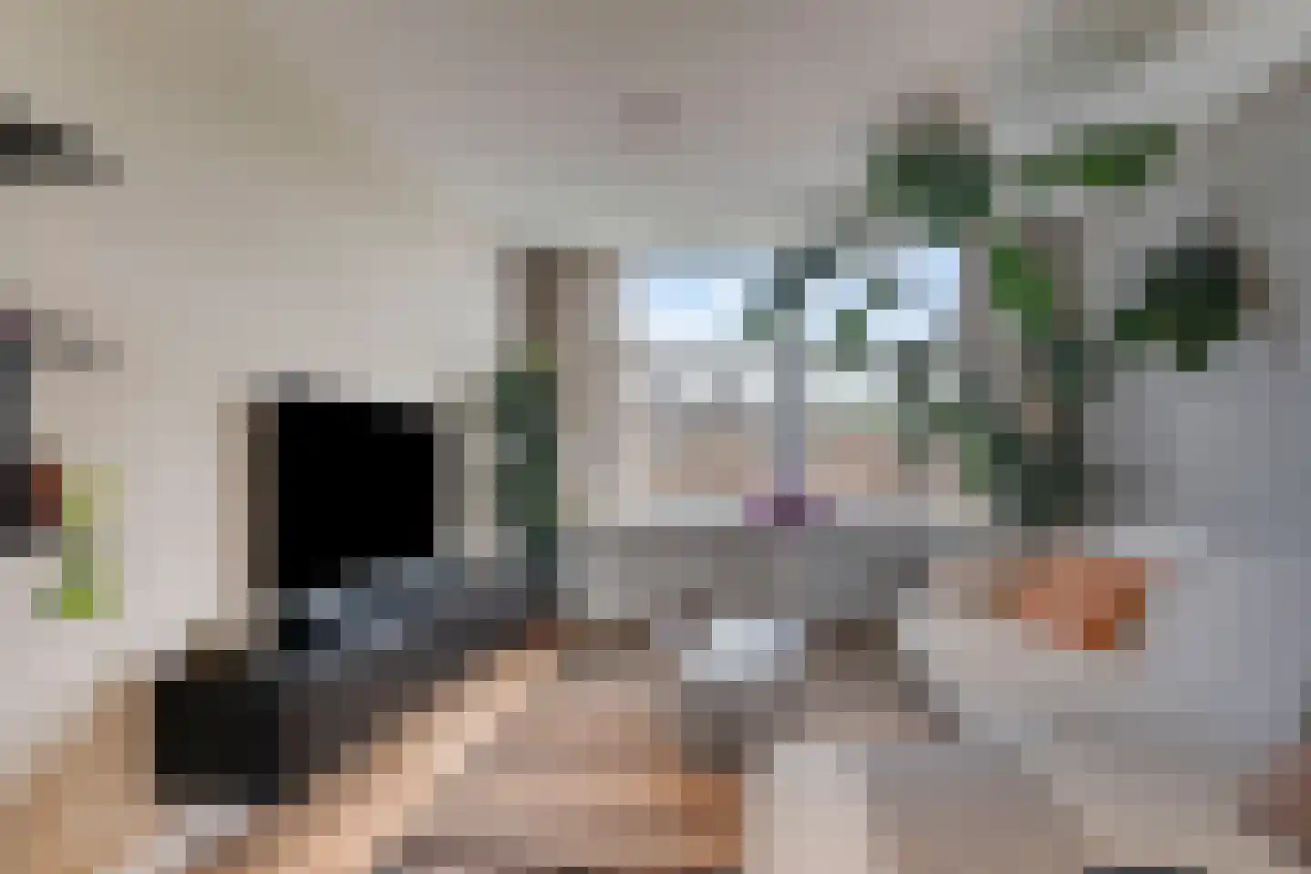 De Melemstraat 4 Voorburg thumbnail 14