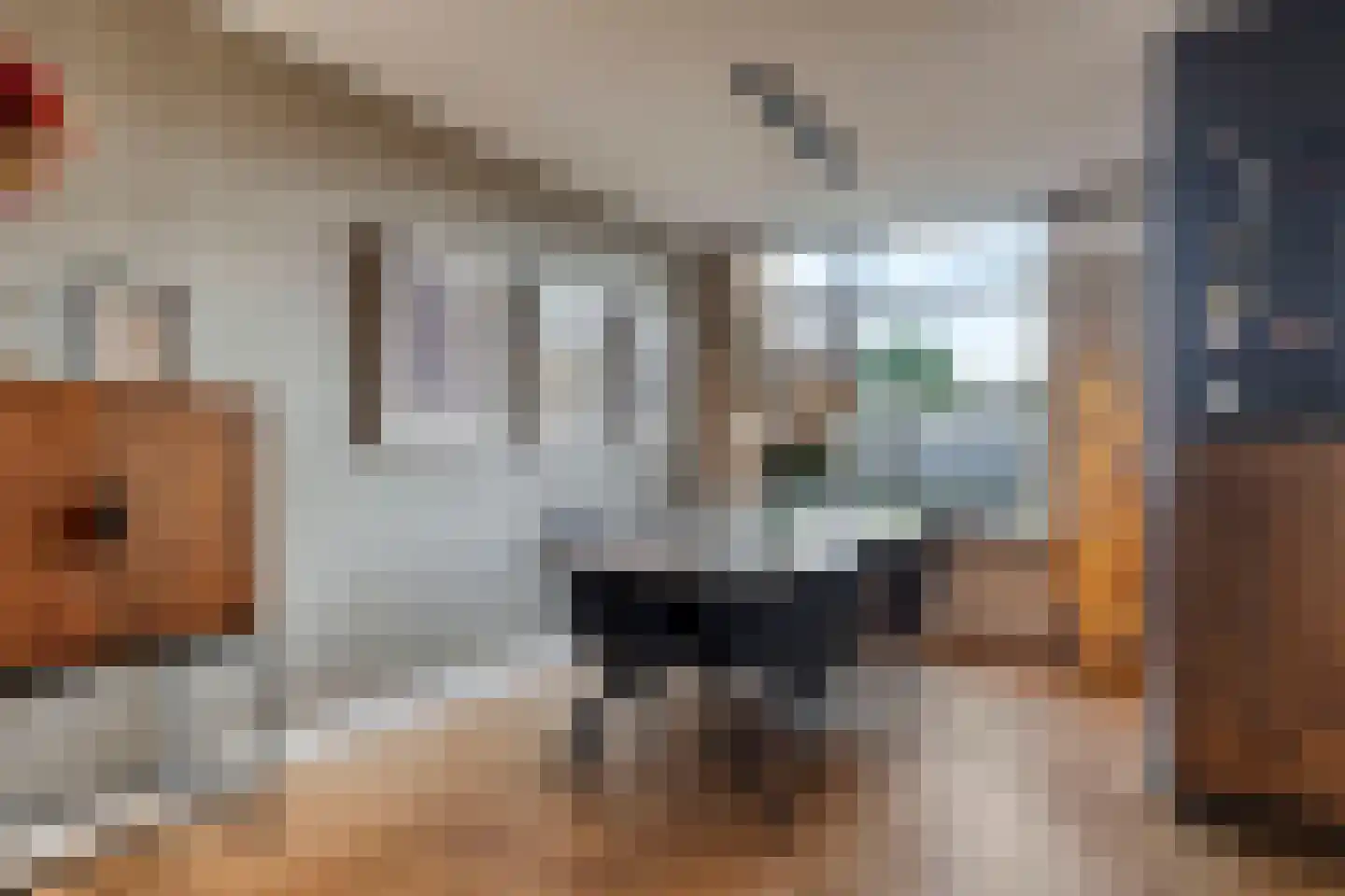 De Melemstraat 4 Voorburg thumbnail 15