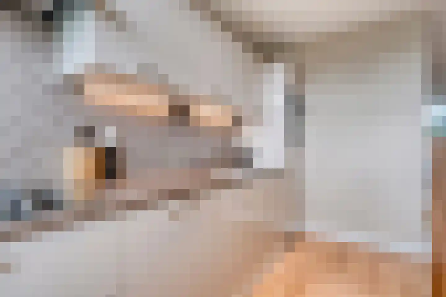 De Melemstraat 4 Voorburg thumbnail 18