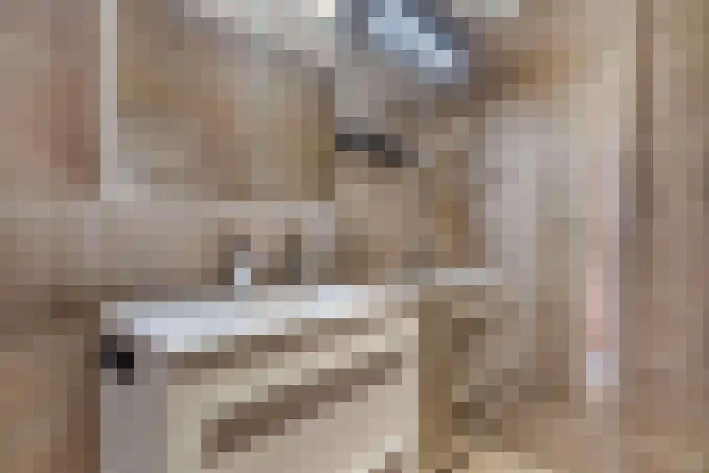 De Melemstraat 4 Voorburg thumbnail 27