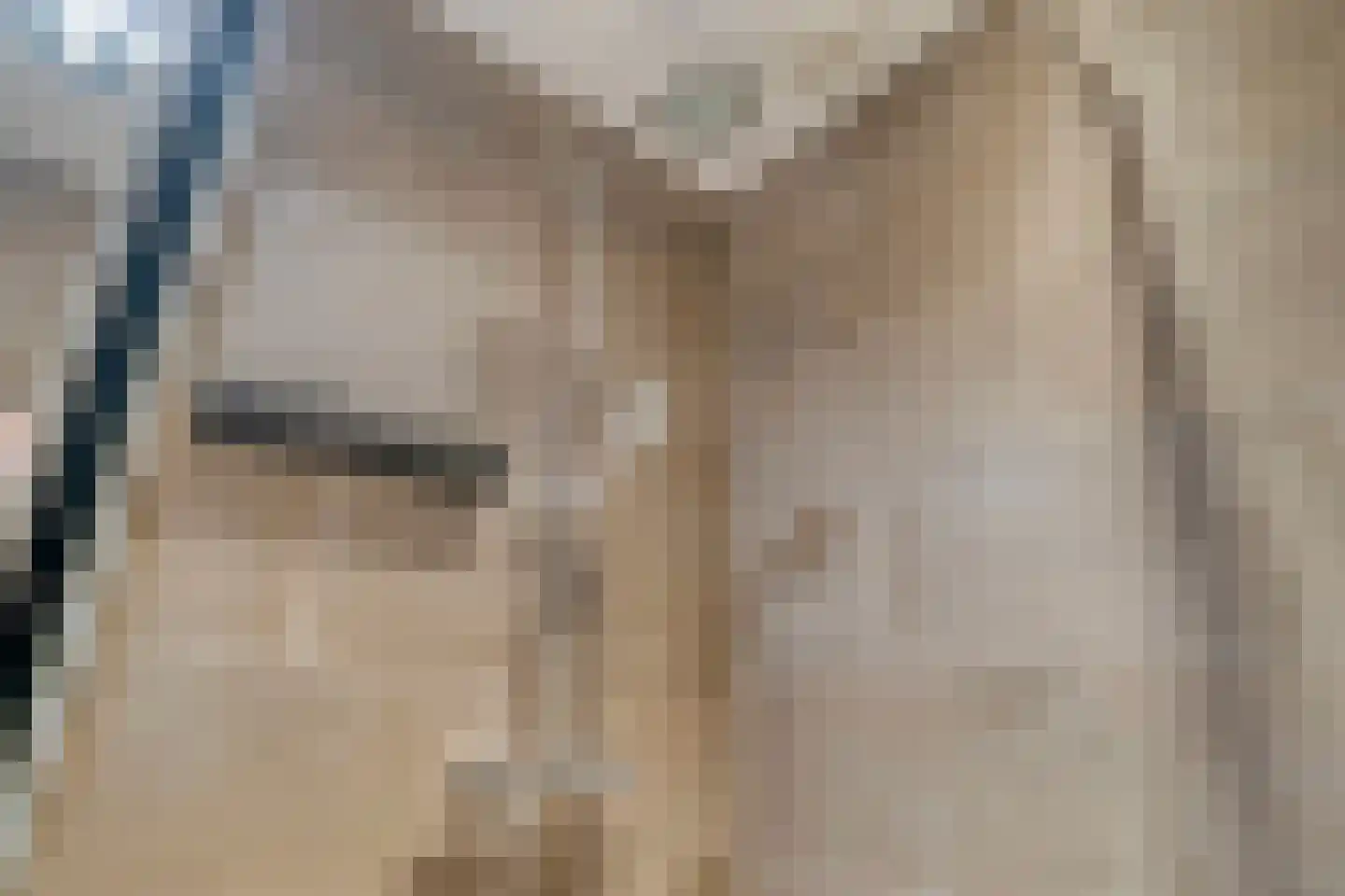 De Melemstraat 4 Voorburg thumbnail 28