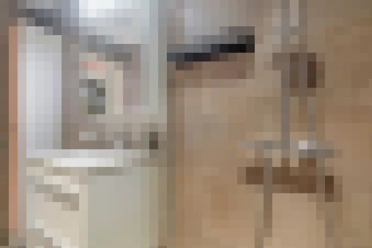 De Melemstraat 4 Voorburg thumbnail 29
