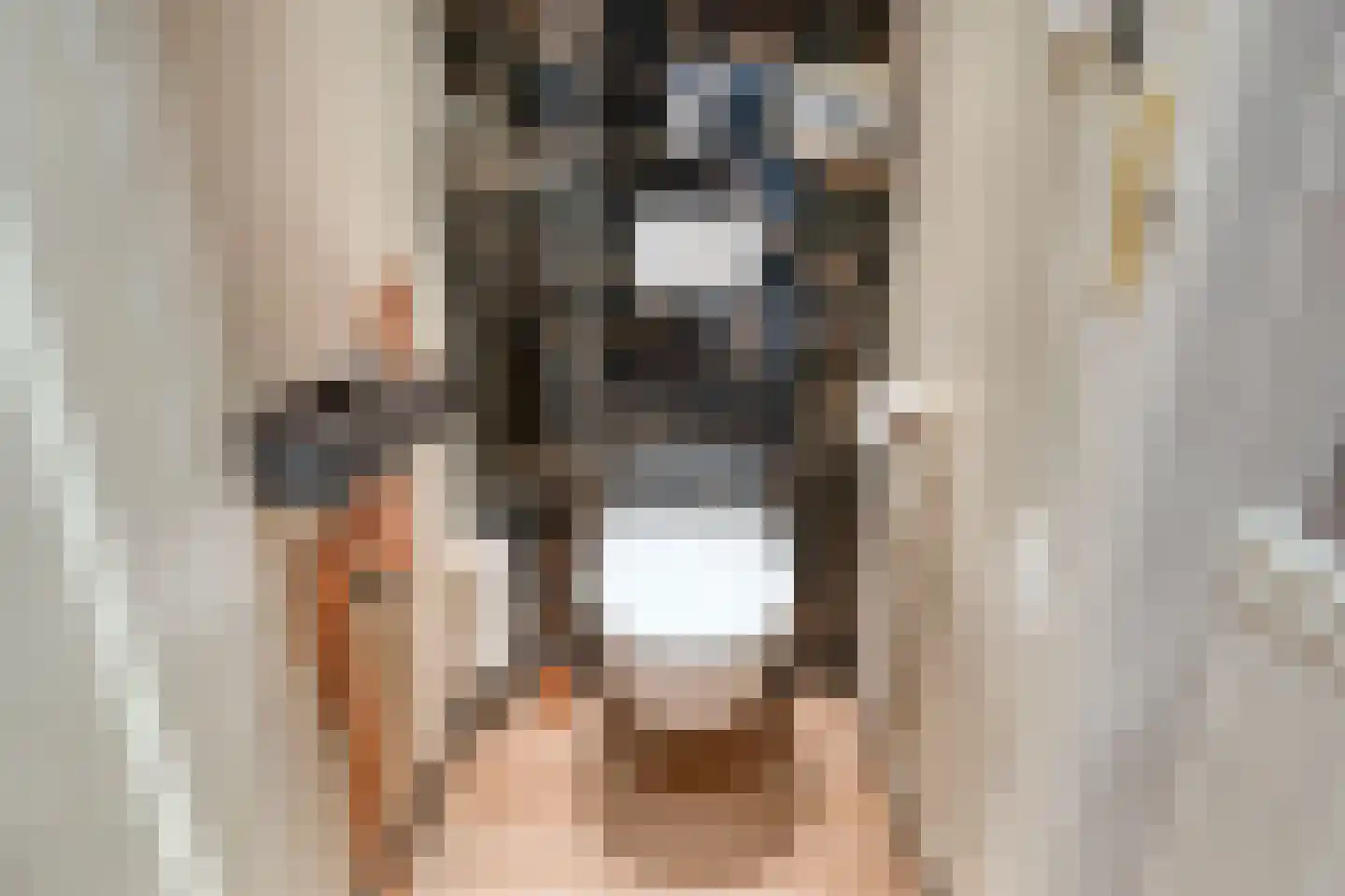De Melemstraat 4 Voorburg thumbnail 30