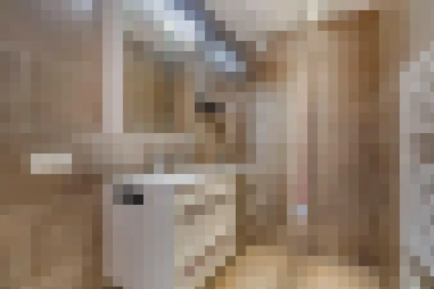 De Melemstraat 4 Voorburg thumbnail 5