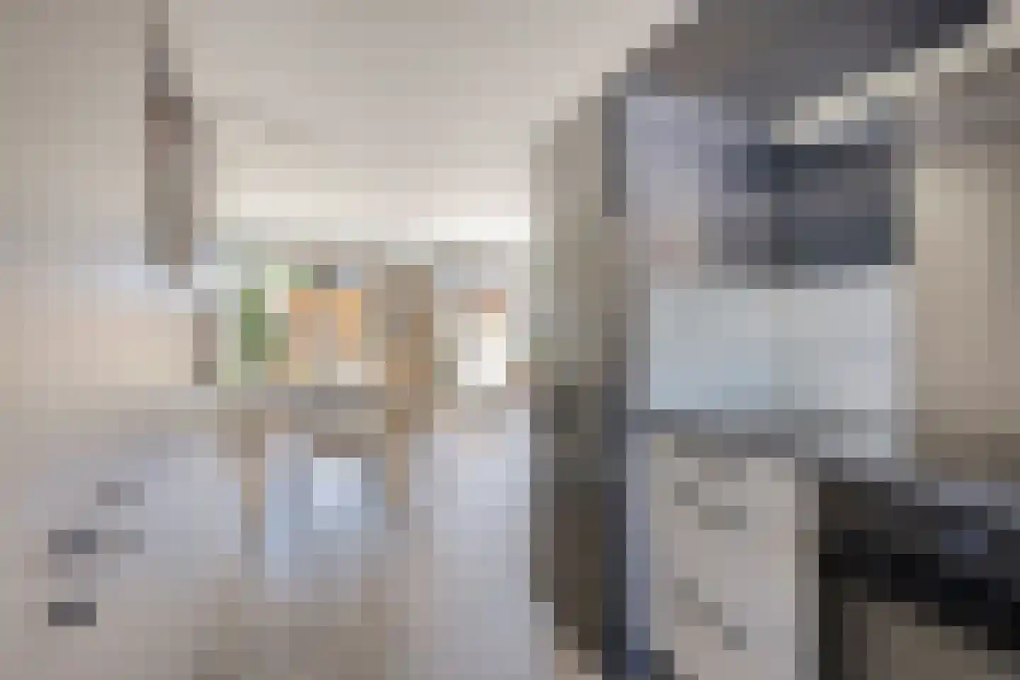 De Melksuiker 141 Uitgeest thumbnail 13