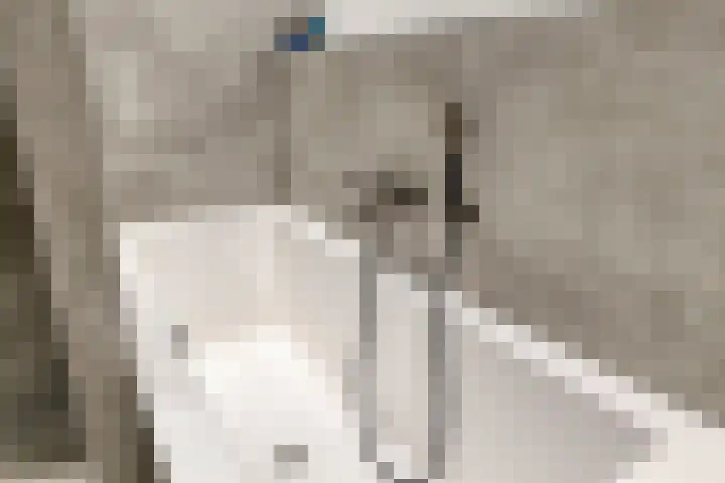 De Melksuiker 141 Uitgeest thumbnail 21
