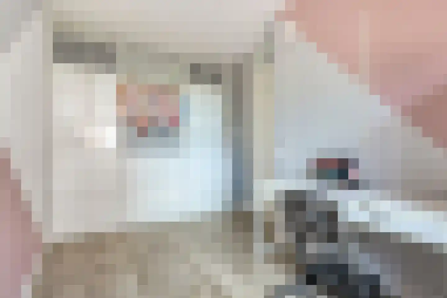 De Melksuiker 141 Uitgeest thumbnail 24