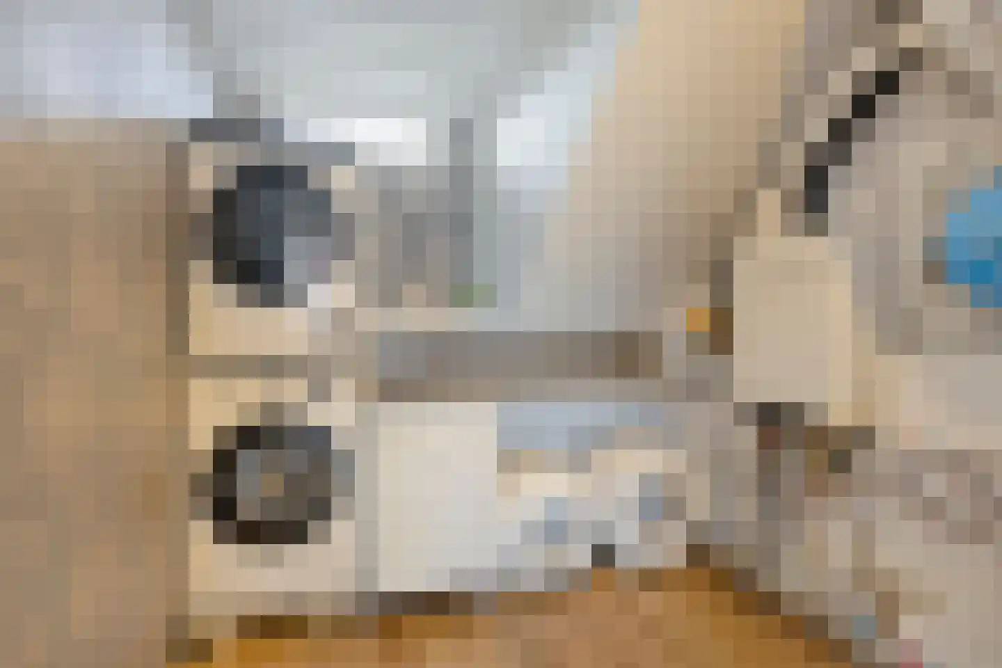 De Melksuiker 141 Uitgeest thumbnail 28