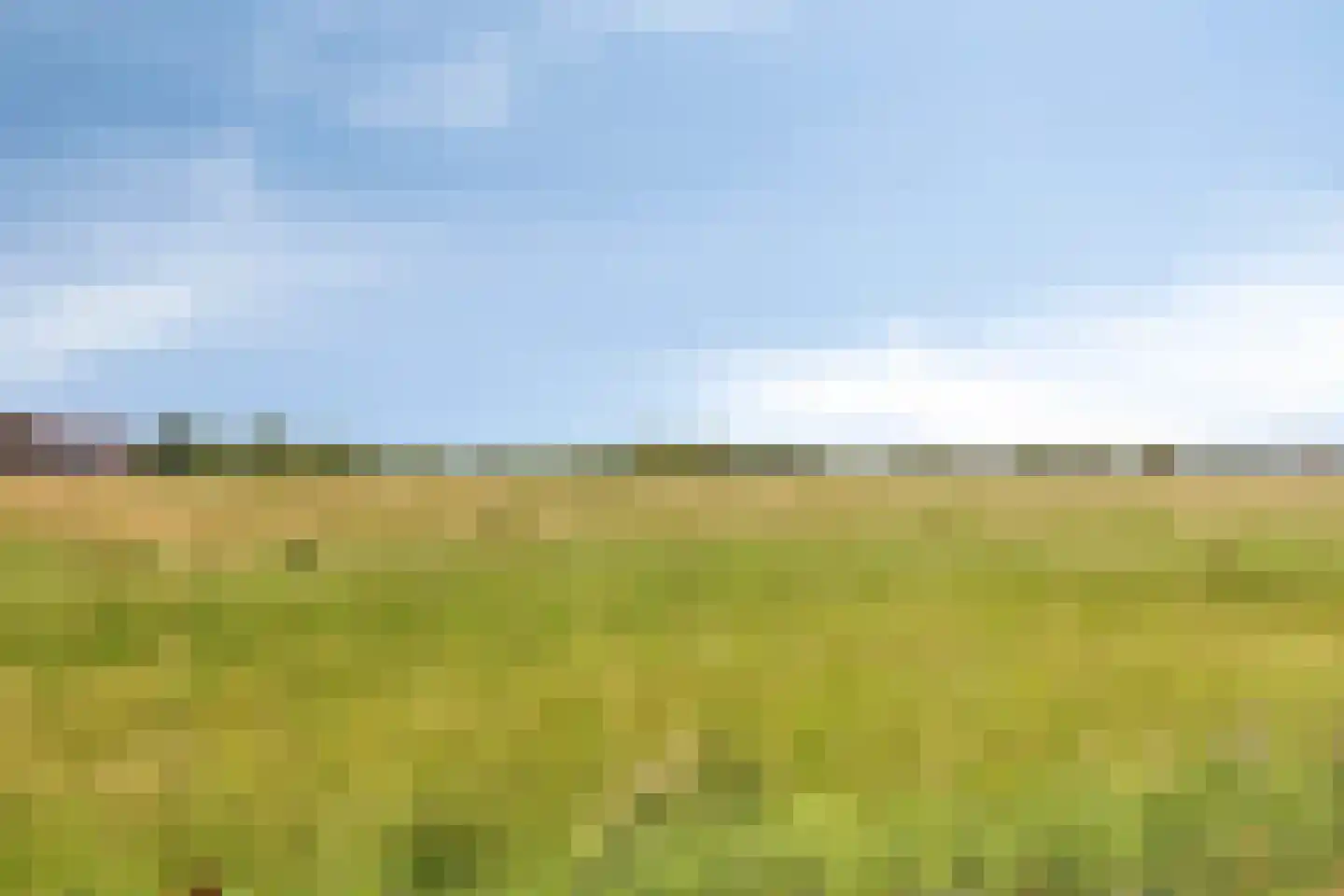 De Melksuiker 141 Uitgeest thumbnail 41