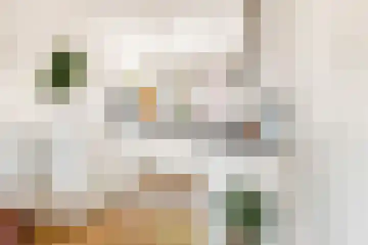 De Melksuiker 143 Uitgeest thumbnail 10