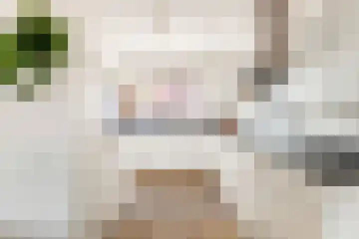 De Melksuiker 143 Uitgeest thumbnail 12