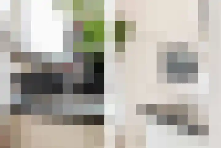 De Melksuiker 143 Uitgeest thumbnail 13