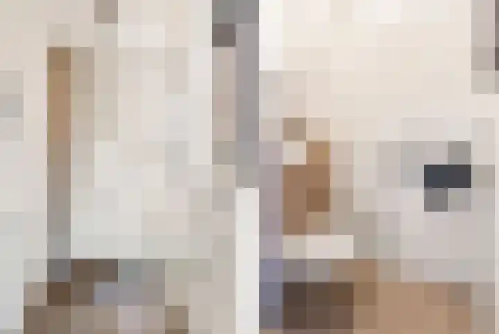 De Melksuiker 143 Uitgeest thumbnail 14