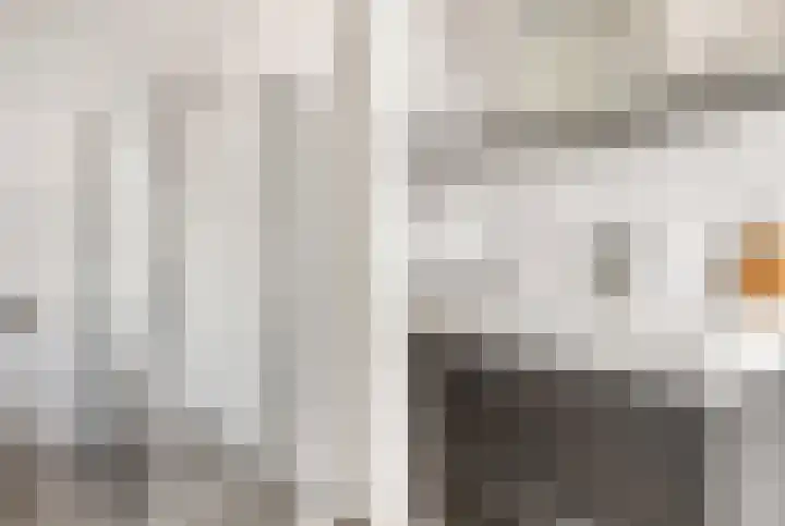 De Melksuiker 143 Uitgeest thumbnail 16