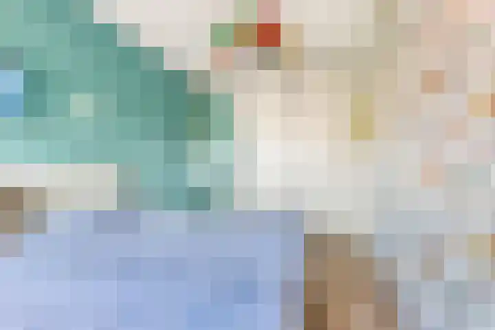 De Melksuiker 143 Uitgeest thumbnail 19