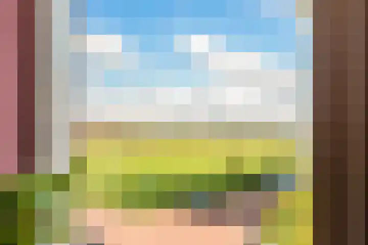 De Melksuiker 143 Uitgeest thumbnail 24