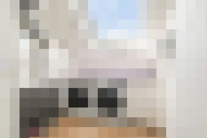 De Melksuiker 143 Uitgeest thumbnail 30