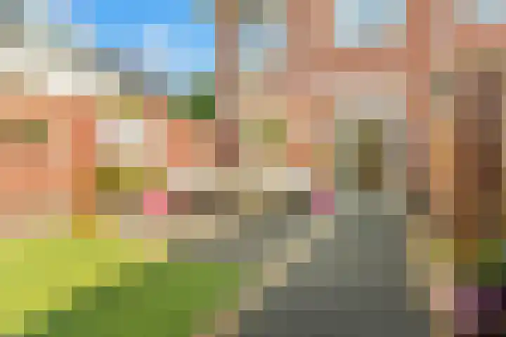 De Melksuiker 143 Uitgeest thumbnail 32
