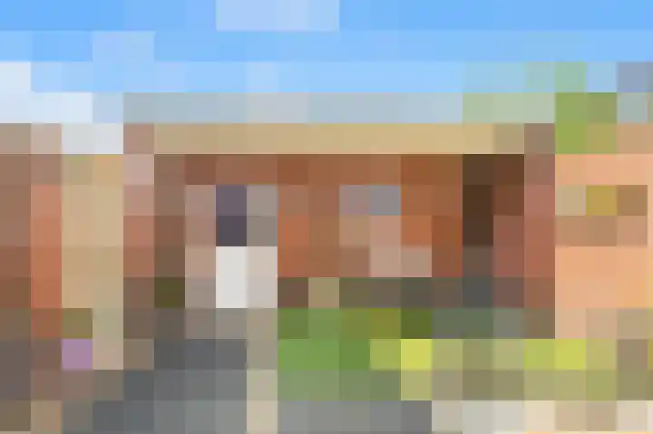De Melksuiker 143 Uitgeest thumbnail 35