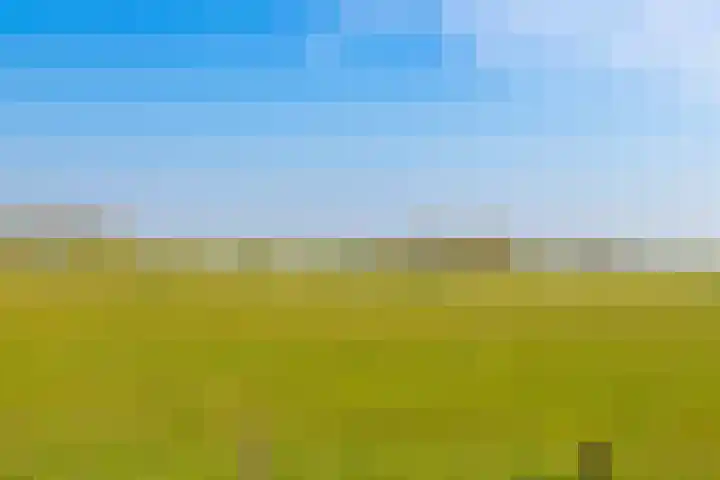 De Melksuiker 143 Uitgeest thumbnail 37