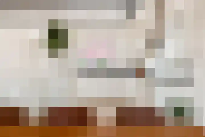 De Melksuiker 143 Uitgeest thumbnail 9