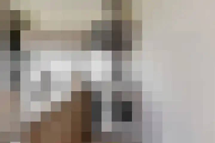 De Melksuiker 30 Uitgeest thumbnail 11